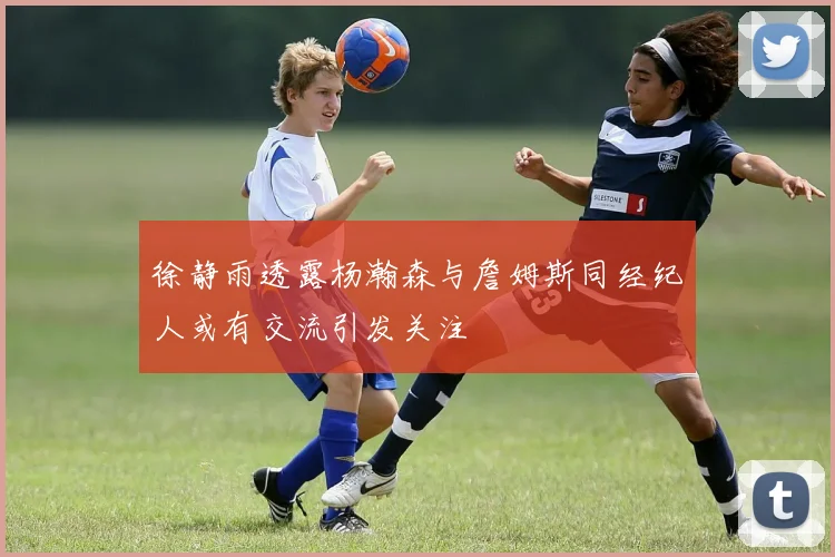 徐静雨透露杨瀚森与詹姆斯同经纪人或有交流引发关注