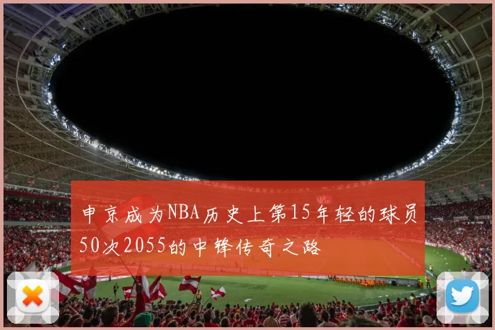 申京成为NBA历史上第15年轻的球员50次2055的中锋传奇之路
