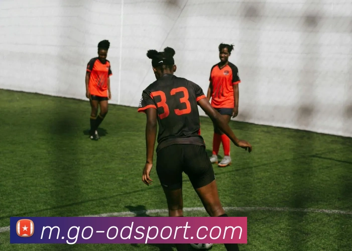 OD体育平台生态图